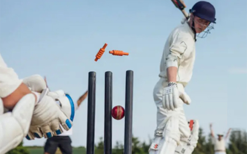 Cricket